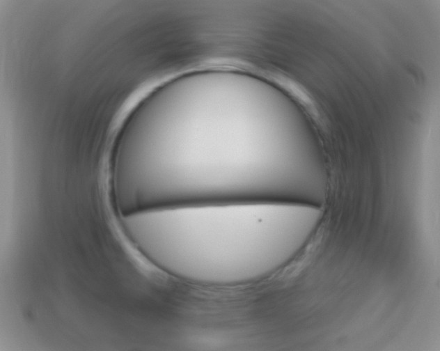 X0000114231430200910091319