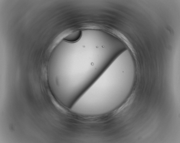 X0000114231433200910091319