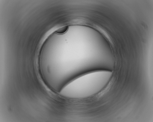 X0000114231434200910091319