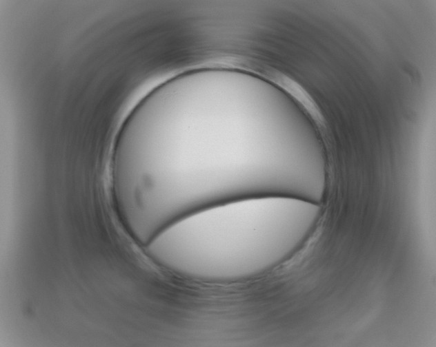X0000114231436200910091319