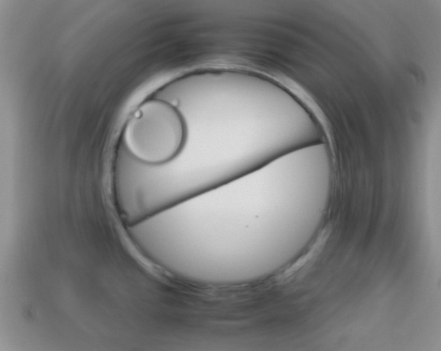 X0000114231437200910091319
