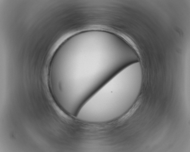 X0000114231438200910091319