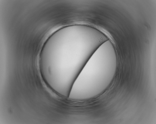 X0000114231439200910091319