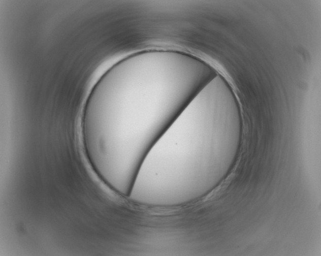 X0000114231440200910091319
