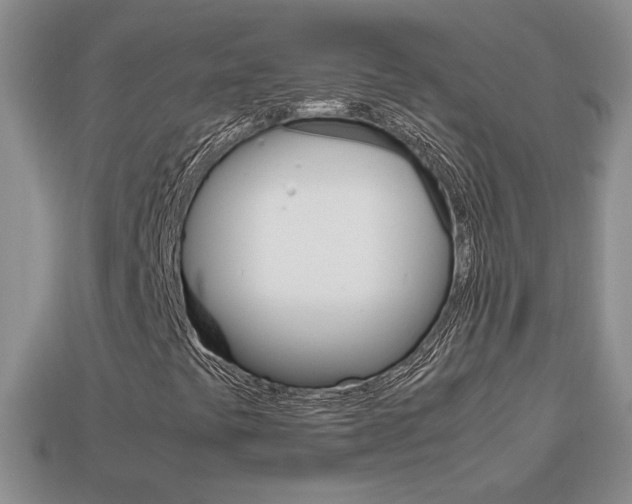 X0000114231441200910091318