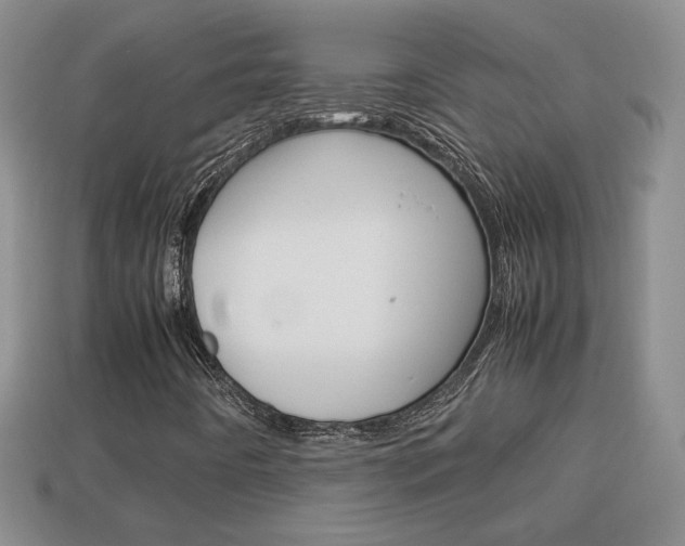 X0000114231442200910091318