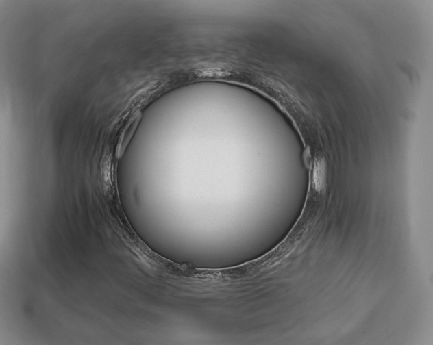 X0000114231444200910091318