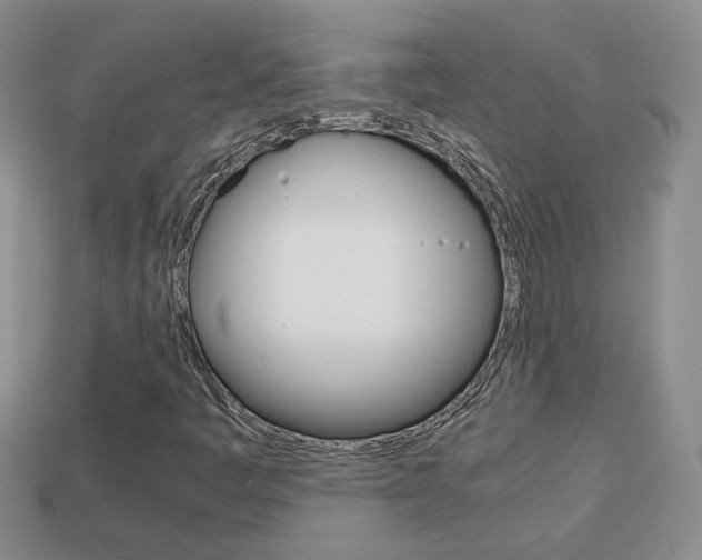 X0000114231445200910091318