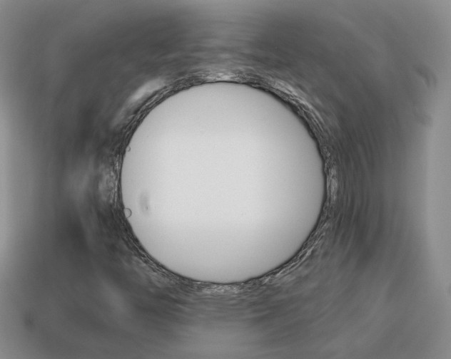 X0000114231446200910091318