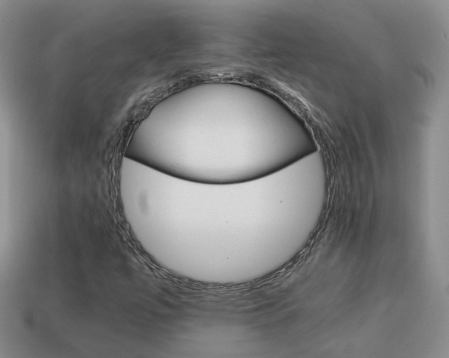 X0000114231447200910091318