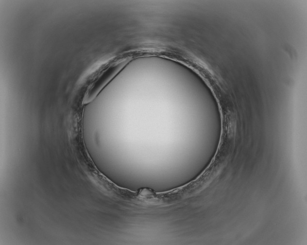 X0000114231448200910091318