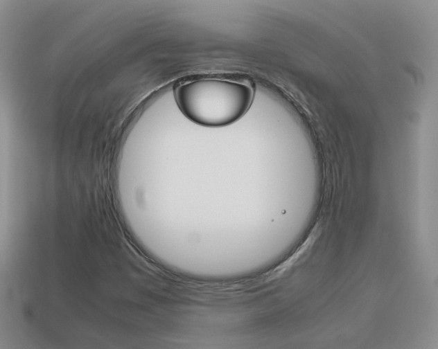 X0000114231449200910091318