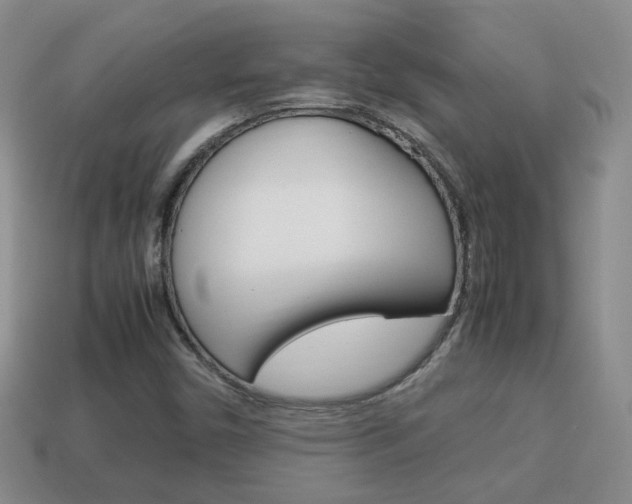 X0000114231450200910091318