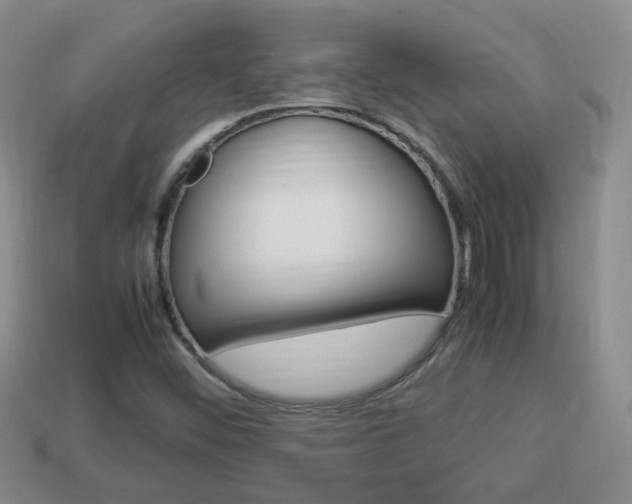 X0000114231452200910091318