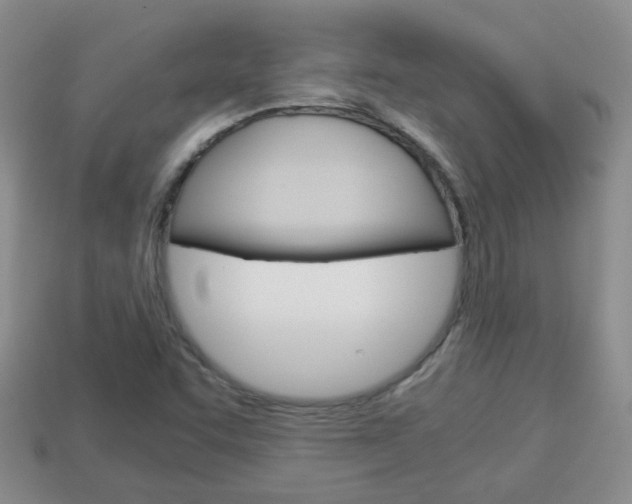 X0000114231455200910091318