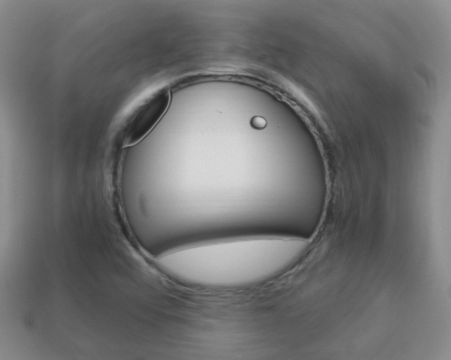 X0000114231456200910091318