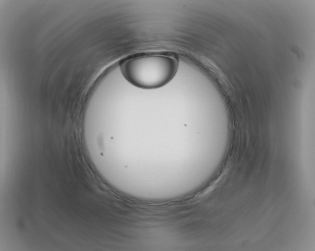 X0000114231457200910091318