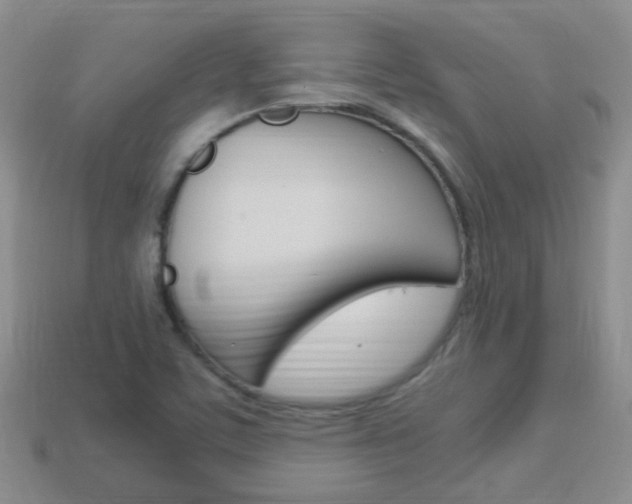 X0000114231459200910091318