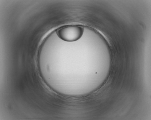 X0000114231460200910091318