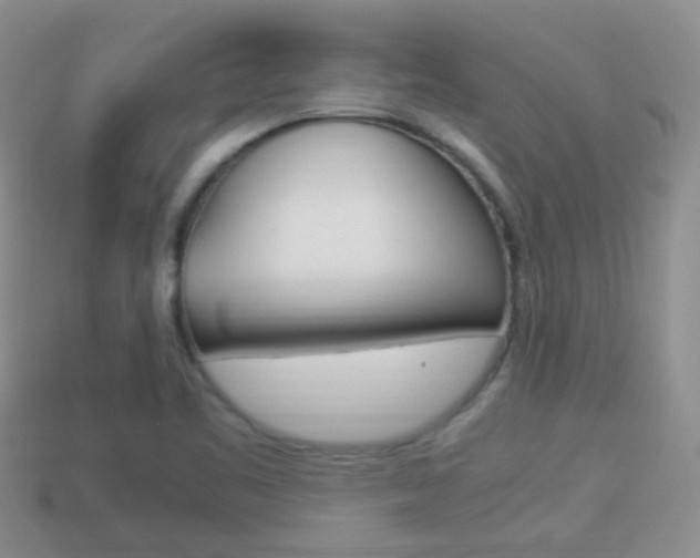 X0000114231461200910091318
