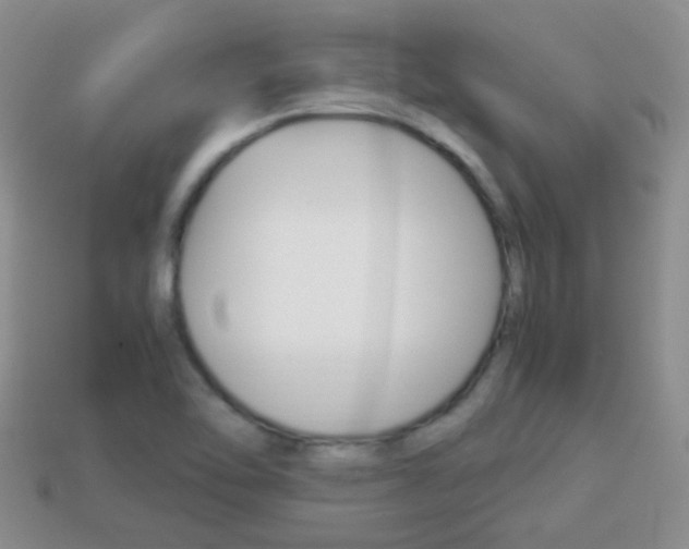 X0000114231462200910091318