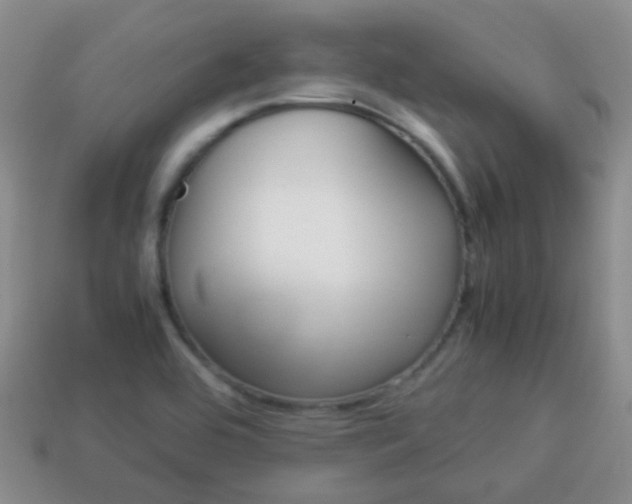 X0000114231464200910091318