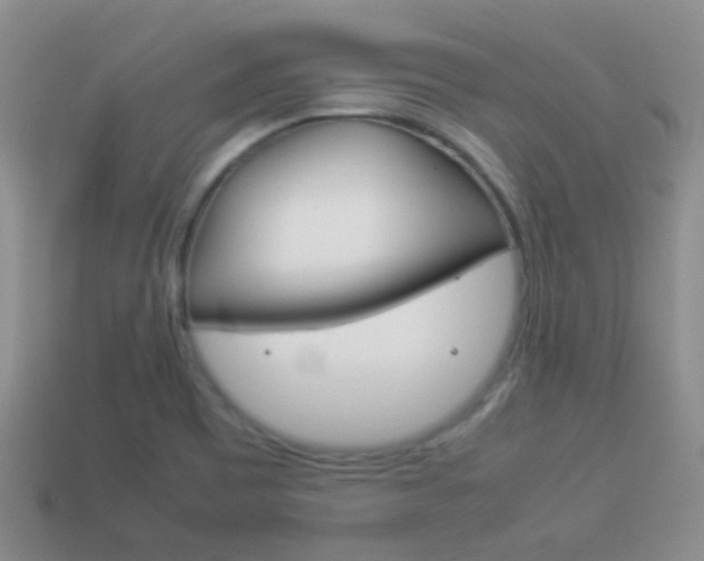 X0000114231465200910091318