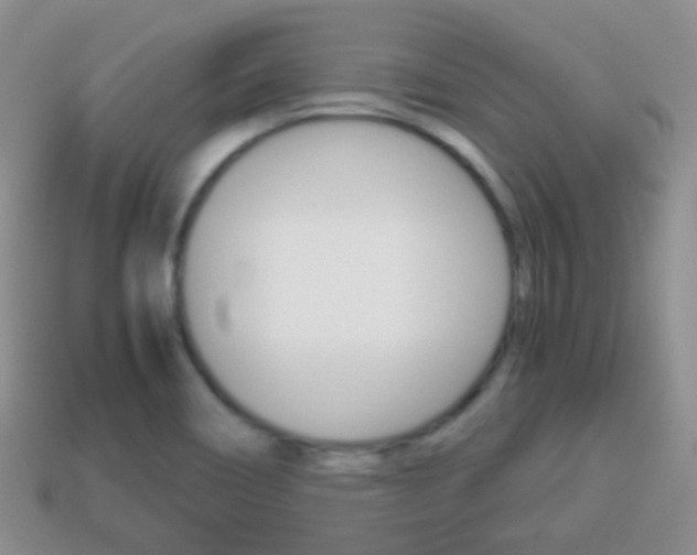 X0000114231466200910091318