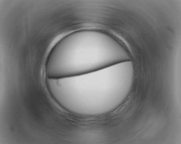 X0000114231467200910091318