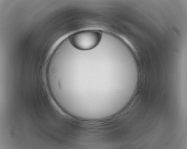 X0000114231468200910091318
