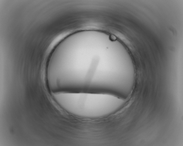 X0000114231469200910091318