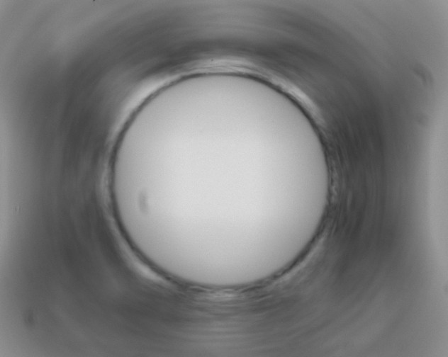 X0000114231470200910091318