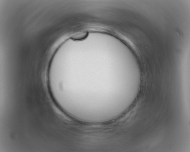 X0000114231471200910091318
