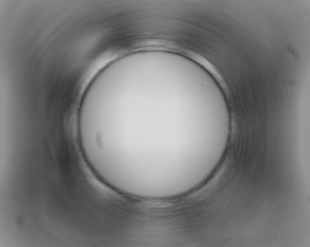 X0000114231474200910091318