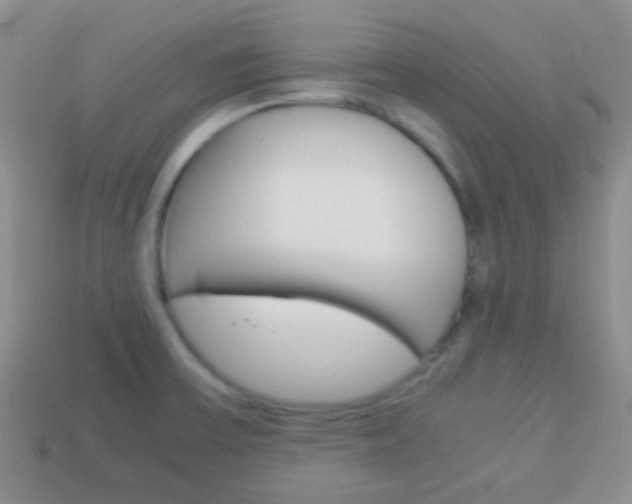 X0000114231475200910091318