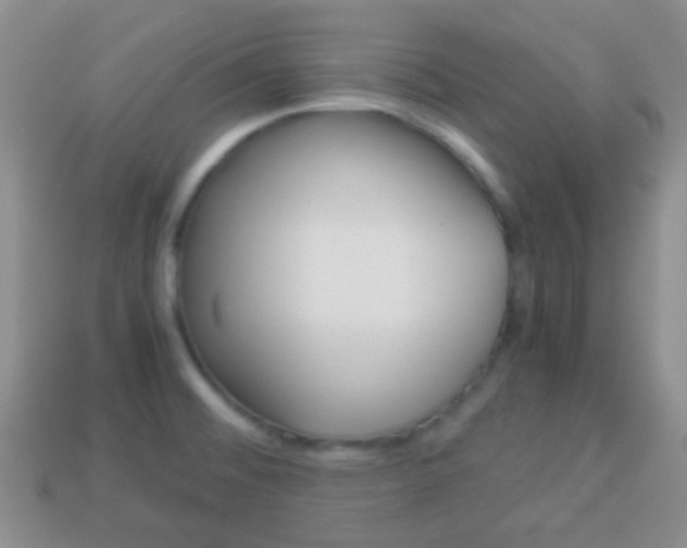 X0000114231476200910091318