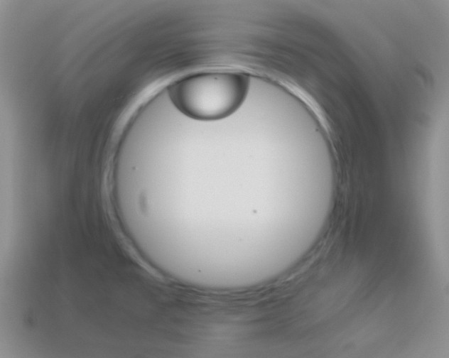 X0000114231477200910091318