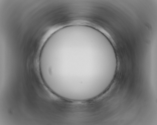 X0000114231478200910091318