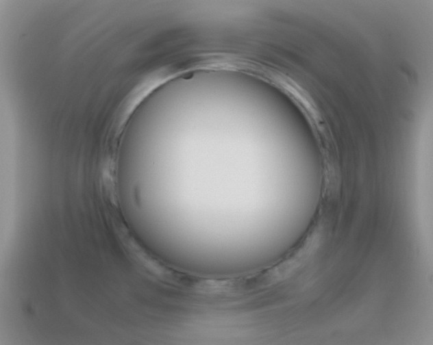 X0000114231481200910091318