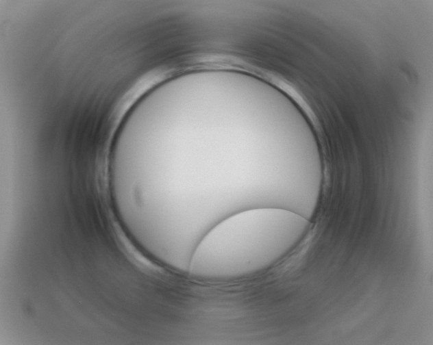 X0000114231482200910091318
