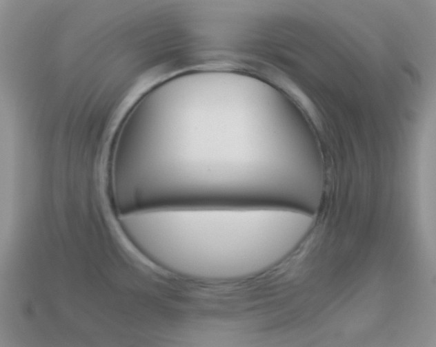 X0000114231483200910091318