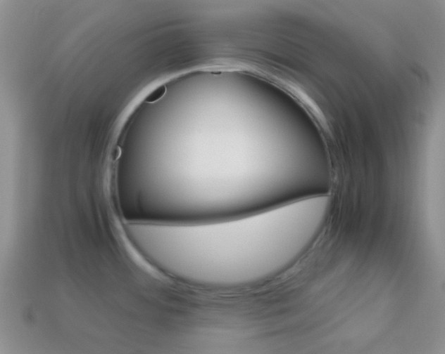 X0000114231484200910091318