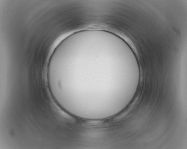 X0000114231486200910091317
