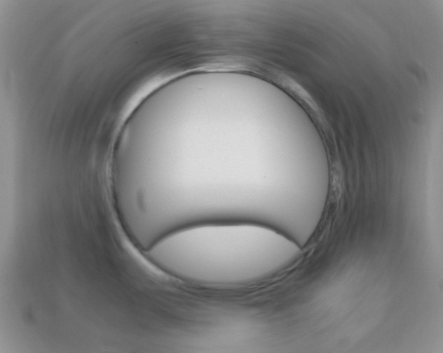 X0000114231487200910091317