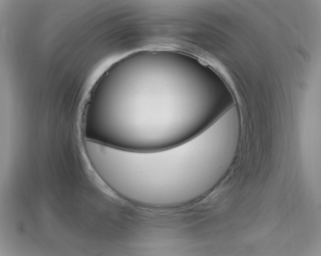 X0000114231488200910091317