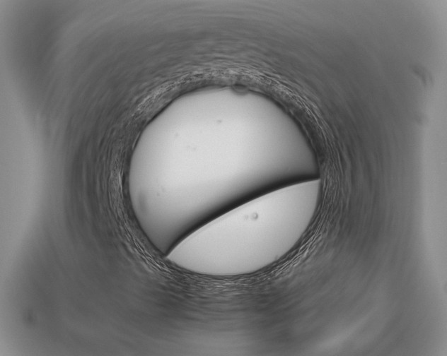 X0000114231489200910091317