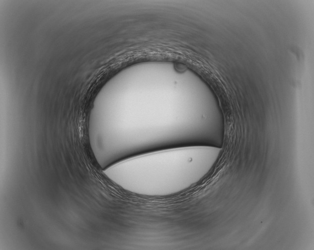 X0000114231490200910091317