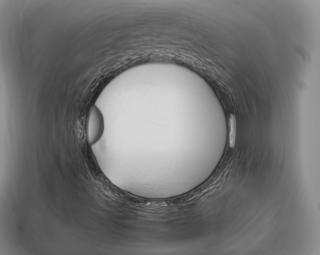 X0000114231491200910091317