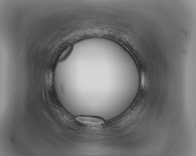 X0000114231492200910091317