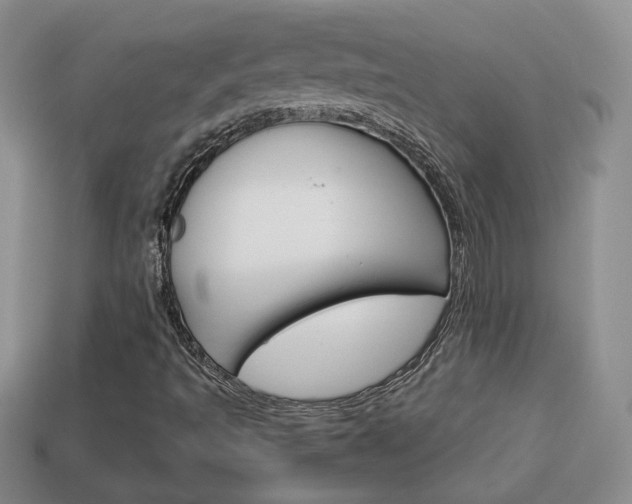 X0000114231493200910091317